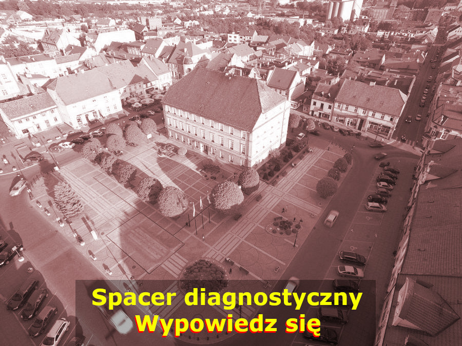 Spacer diagnostyczny po Pleszewie